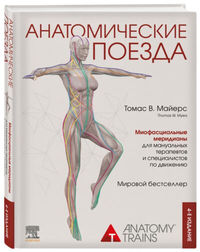 Анатомические поезда