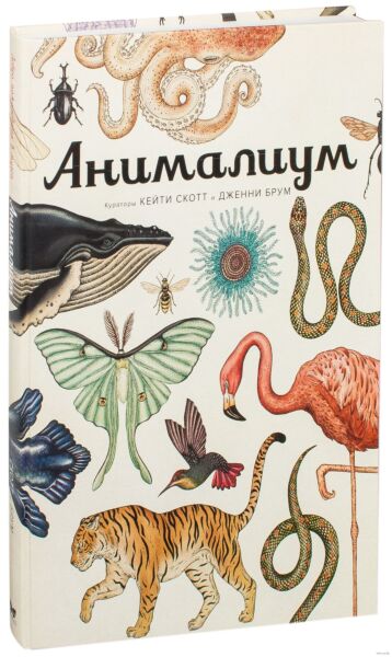 Анималиум