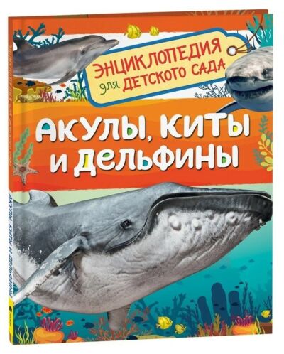 Акулы, киты и дельфины