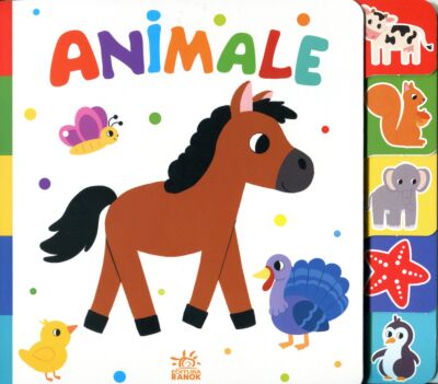 Найди-ка меня! : Животные- Căută-mă !: Animale  (на молдавском языке )