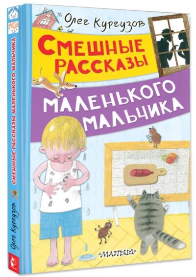 Смешные рассказы маленького мальчика