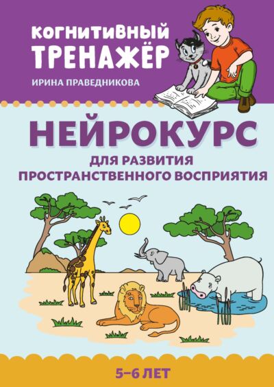 Нейрокурс для развития пространственного восприятия: 5-6 лет