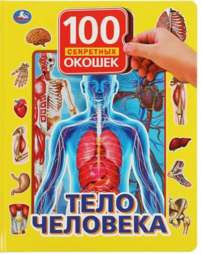 Тело человека. 100 секретных окошек