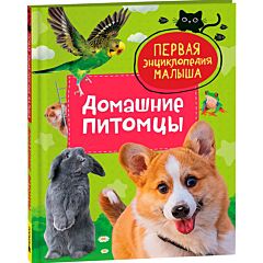 Домашние питомцы