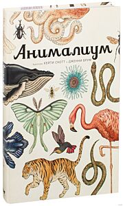Анималиум