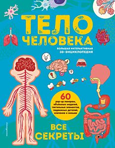 Тело человека. Все секреты. Большая интерактивная 3D-энциклопедия