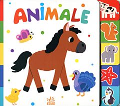 Найди-ка меня! : Животные- Căută-mă !: Animale  (на молдавском языке )