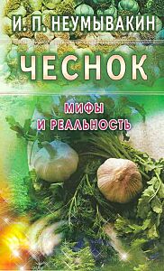 Чеснок: мифы и реальность