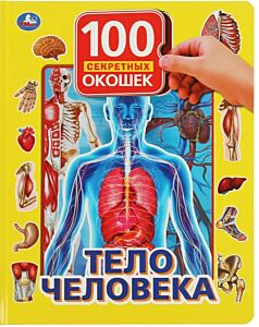 Тело человека. 100 секретных окошек