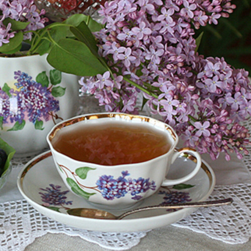 Дулевский фарфор